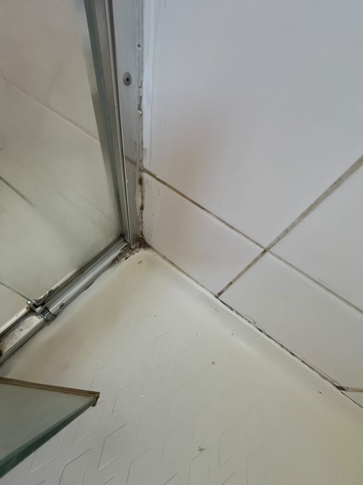 Mouldy silicone and stained grout at shower screen corner junction — Melbourne