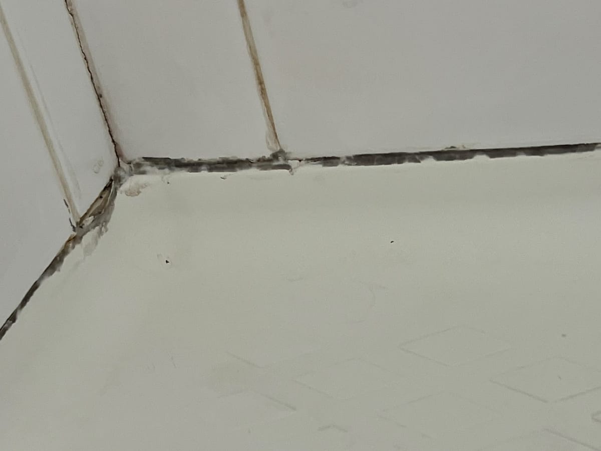 Clean concave sanitary silicone bead tooled into internal shower corner junction